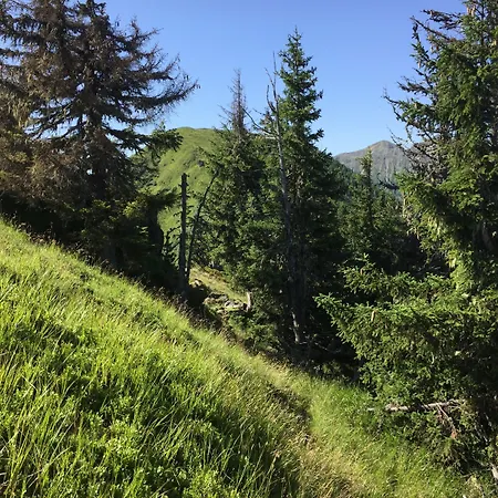 Appartements-pension Lindenheim شقة